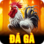 ĐÁ GÀ - 150x150