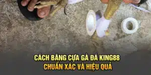 Cách Băng Cựa Gà Đá King88 Chuẩn Xác Và Hiệu Quả