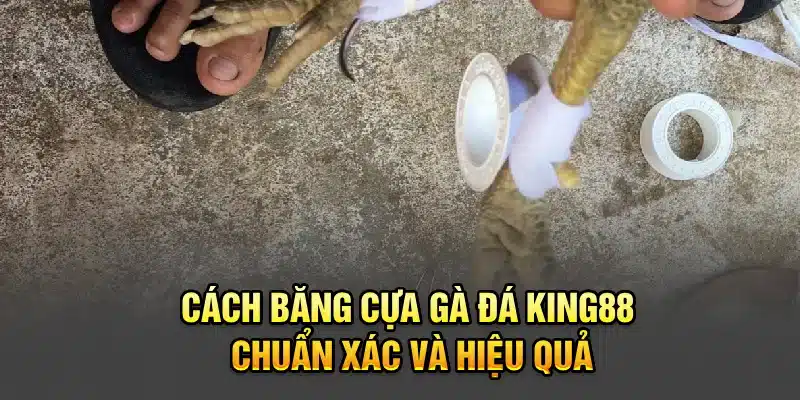 Cách Băng Cựa Gà Đá King88 Chuẩn Xác Và Hiệu Quả