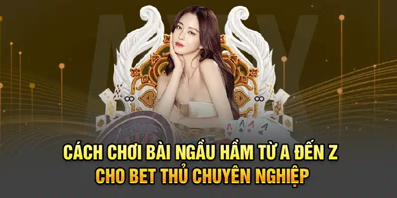 Cách Chơi Bài Ngầu Hầm Từ A Đến Z Cho Bet Thủ Chuyên Nghiệp