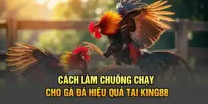 Cách Làm Chuồng Chạy Cho Gà Đá Hiệu Quả Tại KING88