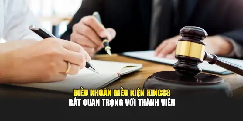 Điều khoản điều kiện KING88 rất quan trọng với thành viên