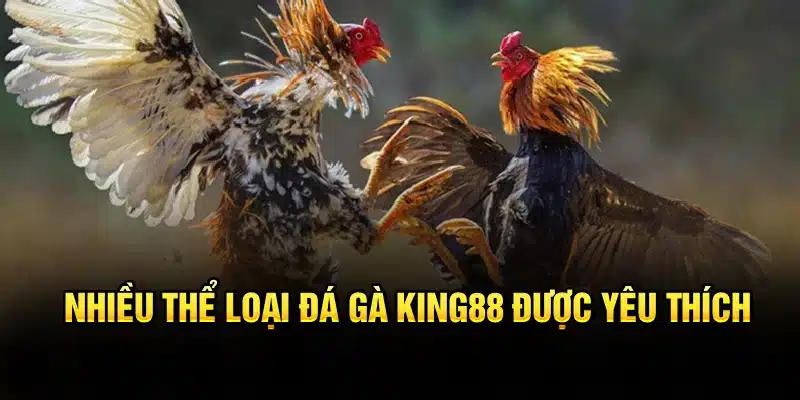 Nhiều thể loại đá gà KING88 được yêu thích