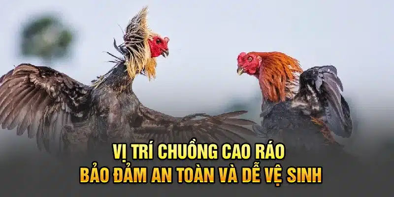 Vị trí chuồng cao ráo bảo đảm an toàn và dễ vệ sinh